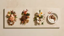 Overhead view of salmon, lentils, eggs, yogurt, nuts and vegetables illustrating different whole-food protein sources and their nutritional packages.